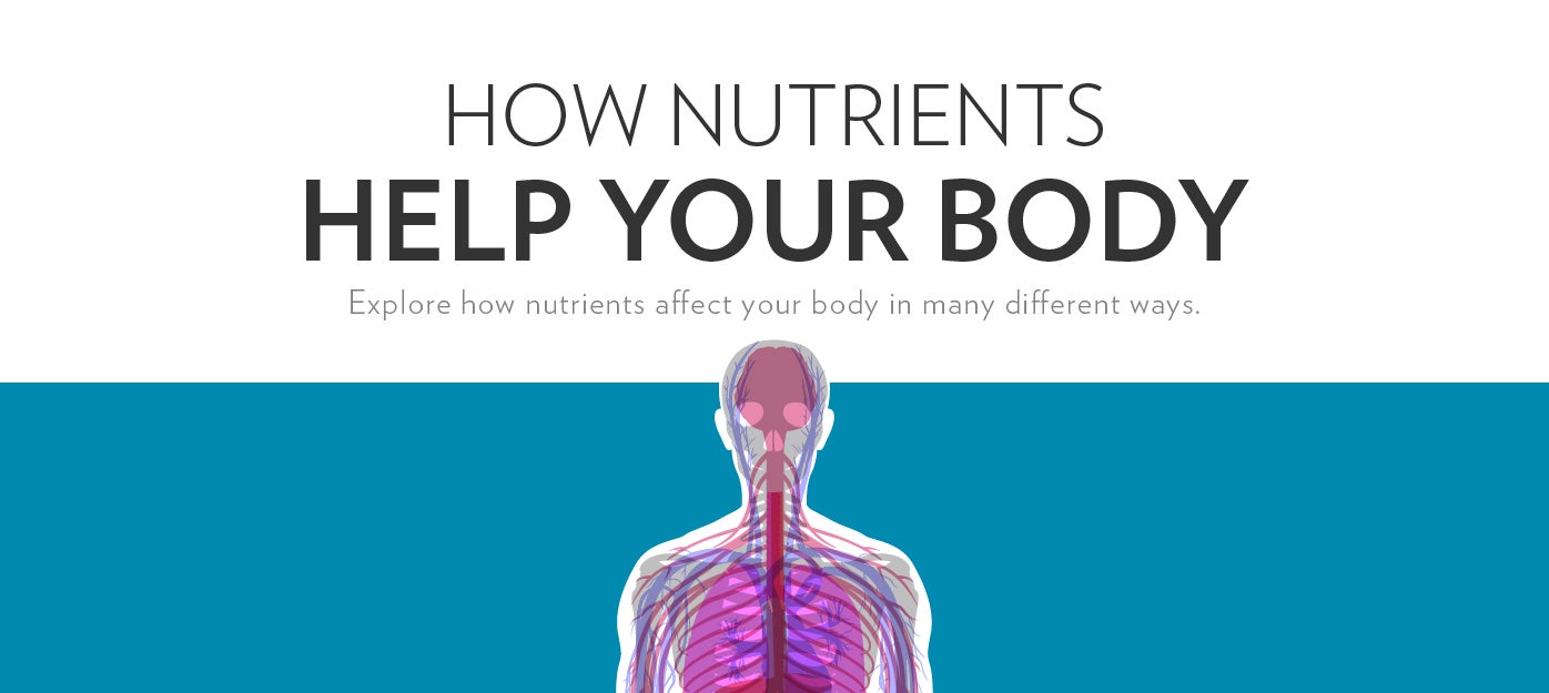 How Nutrients Help Your Body In this informative, interactive guide, you can browse through essential nutrients, view corresponding educational facts, and learn which foods can provide a good source of each